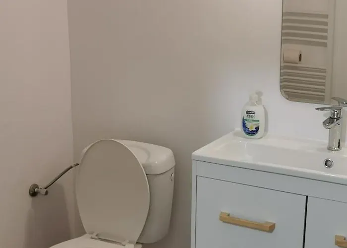 Casa Silvia Apartman Kolozsvár